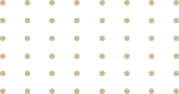 https://leftrightsolution.com/wp-content/uploads/2025/09/floater-gold-dots.png